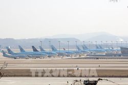 Mỹ, Anh dự kiến công bố kết quả xem xét thỏa thuận Korean Air mua Asiana