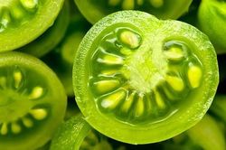 Hạ độc chính mình nếu ăn trúng 2 loại rau củ vị đắng thường gặp này khi mưa bão, giao mùa