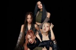 Album 'Born Pink' của Blackpink: Sự trỗi dậy của nhóm nhạc nữ