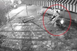 CLIP: 'Chết cười' với cảnh trộm xương rồng lúc nửa đêm