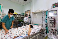 Số ca tử vong vì sốt xuất huyết ở TP.HCM cao nhất trong 10 năm