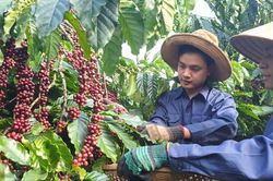 Xuất khẩu sang Tây Ban Nha: Việt Nam chỉ đứng sau Trung Quốc