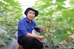 Cán bộ Đoàn mạnh dạn đổi mới