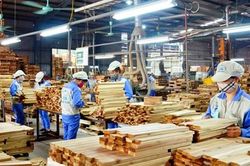 DN xuất khẩu gỗ đối diện rủi ro mới ở thị trường Mỹ