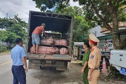 Lai Châu xử lý vi phạm vận chuyển động vật không có Giấy chứng nhận kiểm dịch