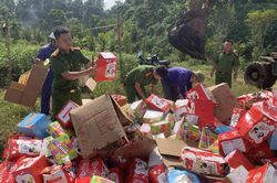 Tiêu hủy hơn 65.000 sản phẩm bánh, kẹo các loại