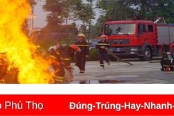 Nỗ lực 'cứu cái còn trong cái mất'