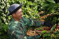 Nestlé công bố kế hoạch NESCAFÉ Plan 2030
