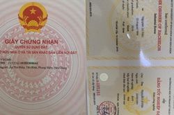 Thủ thuật quái chiêu của nhóm làm sổ đỏ, bằng cấp, căn cước giả