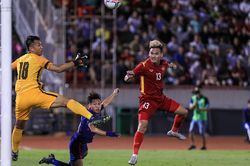 VFF đề nghị Singapore không dùng sân cỏ nhân tạo tại AFF Cup