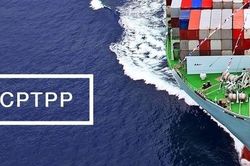 Chính phủ Malaysia nhất trí phê chuẩn CPTPP
