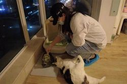 Cô gái kiếm gần 2 triệu/ngày nhờ công việc cho mèo ăn
