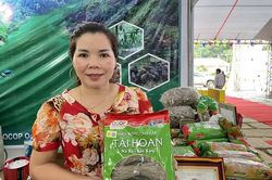 Gặp người đưa miến dong Na Rì của tỉnh Bắc Kạn xuất ngoại