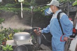 Đắk Lắk ghi nhận ca tử vong thứ 8 do sốt xuất huyết