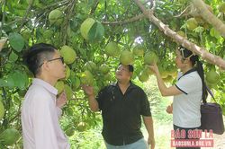 Đảng bộ xã Quy Hướng học và làm theo Bác