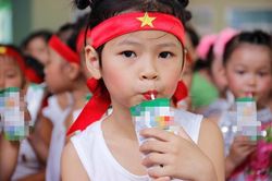 TP.HCM kiểm tra trường học không cho trẻ uống sữa mang từ nhà đến lớp
