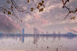 Triển lãm 'Hà Nội mát xanh': Vì một Hà Nội xanh rất xanh