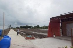 Có dấu hiệu thất thoát khi giao đất không qua đấu giá