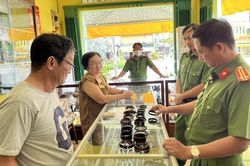 Tịch thu nhiều sản phẩm chế tác từ rùa biển buôn bán trái phép
