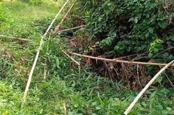 Quảng Ninh: Phát hiện thi thể đang phân hủy không rõ danh tính