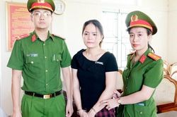 Khởi tố 'cò đất' lừa góp tiền để chiếm đoạt hơn 2,6 tỷ đồng
