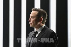 Tỷ phú Elon Musk đề nghị tòa hoãn phiên xét xử vụ phá vỡ hợp đồng với Twitter