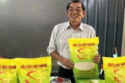 Bảo vệ thành công nhãn hiệu gạo ST24, ST25 tại Úc