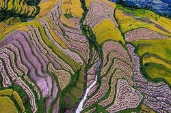 Na Hang - Mộng mỵ quên lối ta về