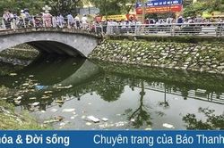 Ô nhiễm ở hồ điều hòa
