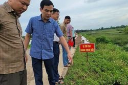 Ngăn chặn và khắc phục sự cố sụt lún đê tả sông Mã