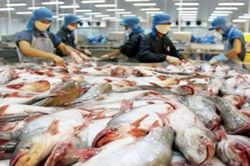 Tin tức tiêu dùng nổi bật 24 giờ