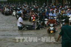 Cần Thơ khẩn cấp ứng phó với triều cường cao nhất năm