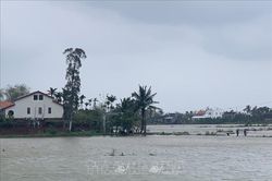 Mưa lớn gây ngập ngầm tràn ở miền núi Quảng Trị, cảnh báo lũ quét và sạt lở đất