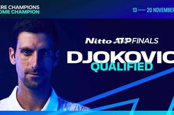 Djokovic chính thức giành vé dự ATP Final