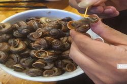 Về 'thánh địa' ốc núi đặc sản Tây Nguyên