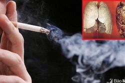 Hàng loạt độc tố 'giết người' có trong thuốc lá