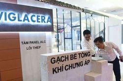 9 tháng đầu năm 2022, Viglacera (VGC) báo lãi đạt 121% kế hoạch năm