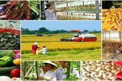 Việt Nam có thể đẩy nhanh quá trình chuyển đổi các hệ thống lương thực, thực phẩm