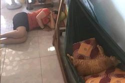 Cảnh bố mẹ cưng 'boss' hết nấc khiến các bạn trẻ ngậm ngùi nhận là 'con ghẻ'