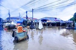 Vĩnh Long thiệt hại hơn 2 tỷ đồng do ảnh hưởng triều cường