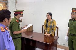 Bình Thuận khởi tố, bắt tạm giam đối tượng chiếm đoạt tài sản