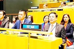 Bảo vệ và thúc đẩy quyền con người trên toàn thế giới
