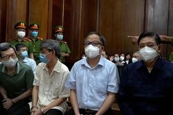 Vụ chuyển nhượng đất công liên quan ông Tất Thành Cang: Quốc Cường Gia Lai xin tiếp tục dự án