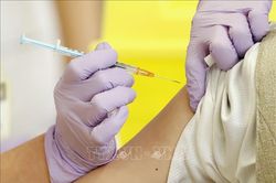 Nhật Bản tiêm vaccine phòng biến thể phụ BA.5 của Omicron cho người dân
