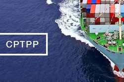 Quy định về lập hồ sơ mời thầu với gói thầu thuộc Hiệp định CPTPP, EVFTA, UKVFTA