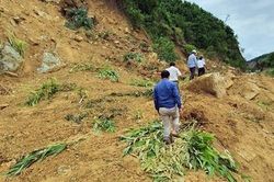 Sạt lở chia cắt nhiều tuyến đường, 170 hộ dân tại Quảng Nam bị cô lập