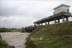 Đắk Lắk chủ động ứng phó với mưa lũ, sạt lở đất
