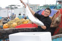 Đà Nẵng chuẩn bị báo cáo Đoàn Thanh tra Ủy ban châu Âu về chống khai thác hải sản bất hợp pháp