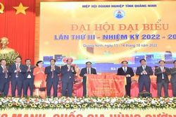 Ông Phạm Văn Thể tiếp tục làm Chủ tịch Hiệp hội Doanh nghiệp tỉnh Quảng Ninh