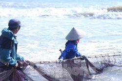Khám phá nghề 'đi giật lùi' trên biển Cửa Lò